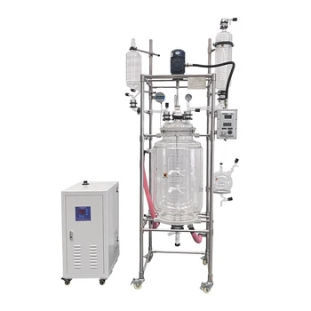 Lab Chemical Bioreactor Jacketed Glass Agitator Tank 5l 10l 20l 50l ...