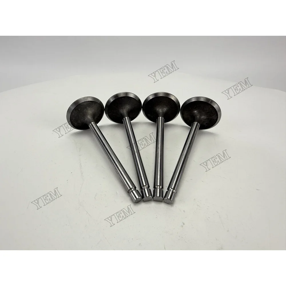 Intake Valve for Deutz CA498-12 Engine Spare Parts 2