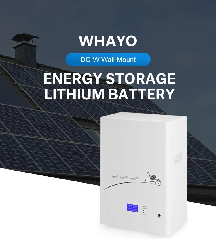 Wall Mounted Lithium Ion Batteries 48V 51.2V 200Ah 10Kwh Lifepo4 Power ...
