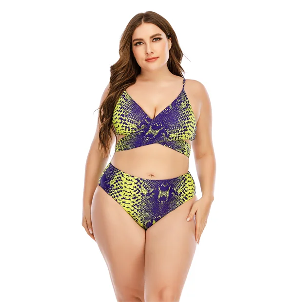 Custom Plus Size Women Snake Printed Bikinis High Waisted Two pieces Swimwear & Beachwear Floral Print Swimwear