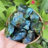 Pierre brute de labradorite