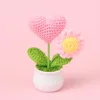 Pink-Caring Daisy Potted Plant
