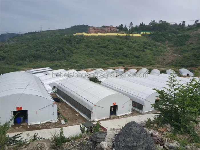 Prefabricated Steel Structure Cowshed Dairy Cow Cattle Farm Shed Barns House Design