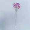 Rosa rossa