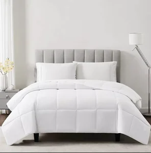 2026 New Design Factory  Popular 100% Brushed  Polyester  Duvet Inner Directly Selling