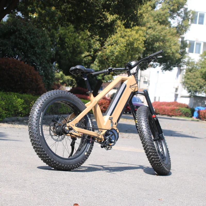 Ebike Gates Bicycle Belt Drive Ebike Gates Drive Bikes 1000W