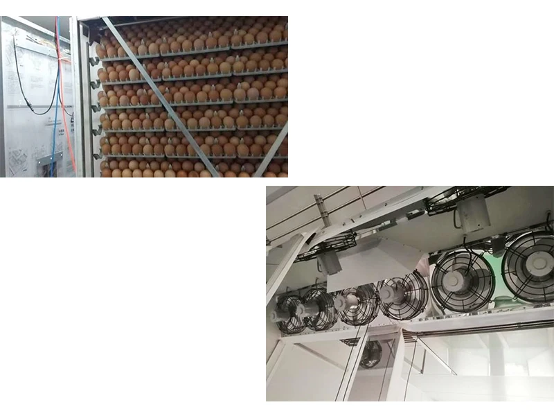 Cross Flow Fans, 90720, 380V - detail 8