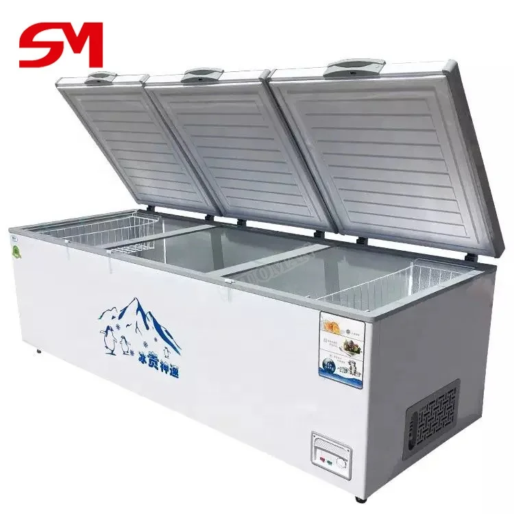 Automatic Modern and Advanced Shops Meat Storage Refrigerator Freezer