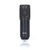 BM800 MIC