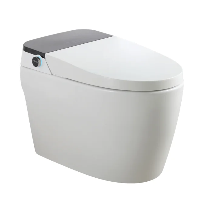 Hot Sale Automatic Sanitary Ware Ceramic Bathroom Wc Intelligent Smart Bidet Toilet Inodoro