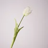Verde blanco