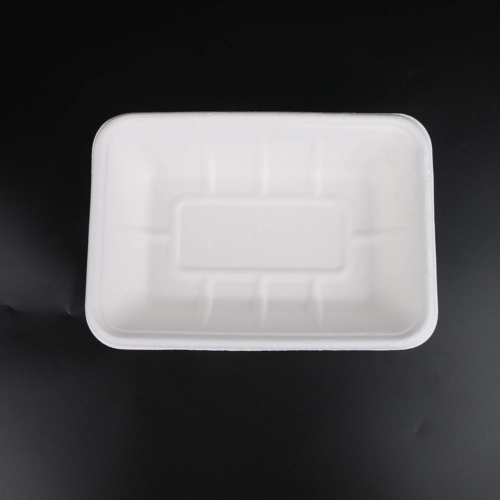 biodegradable compostable bagasse paper disposable food rectangular tray for lunch