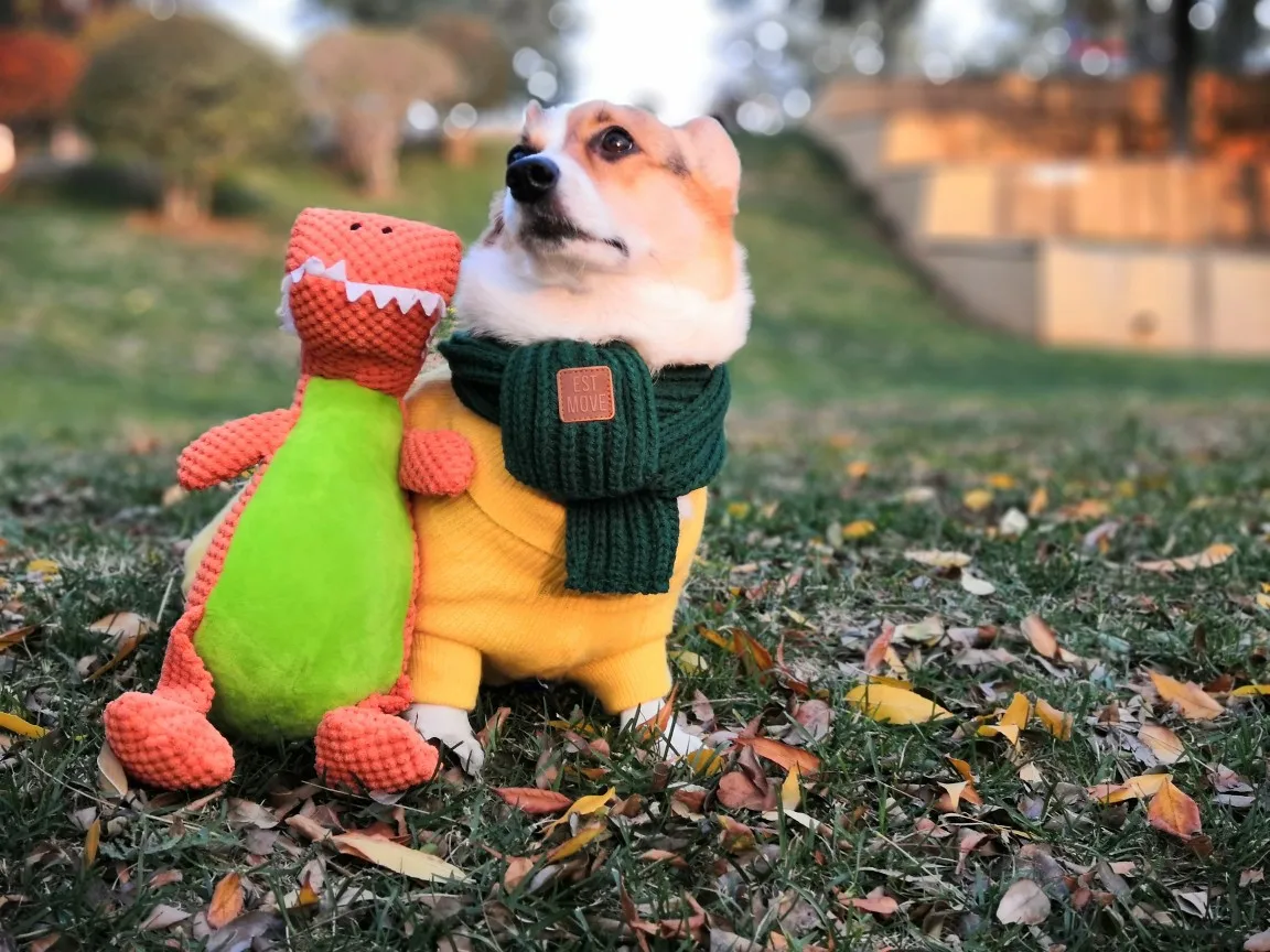 Manufacturer Wholesale Design Red Green Grey Warm Soft Pet Scarves Dog