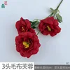 3-headed fuzzy hibiscus BD Red