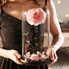 Pink YSH-10-3/Pink