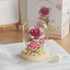 Joyau caché-rose avec cache-poussière-168 pièces