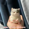 Gato gris y blanco