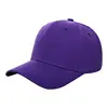 สีม่วง
