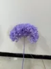 Azul violeta