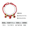 B21396 red apple
