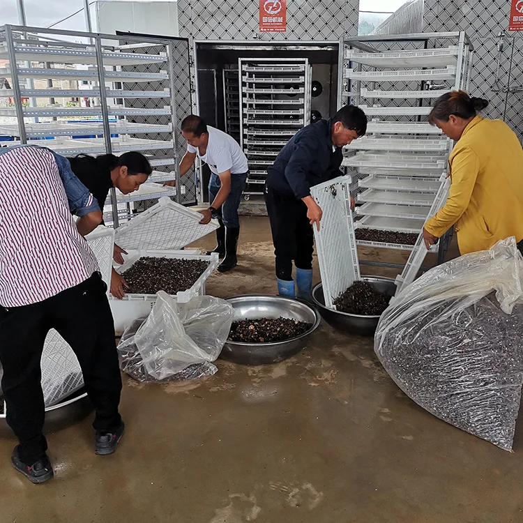 Guoxin mango Dried/coconut Coir/grape Heat Pump Dryer Food Fruit Drying Machine Fruits Drying Machine