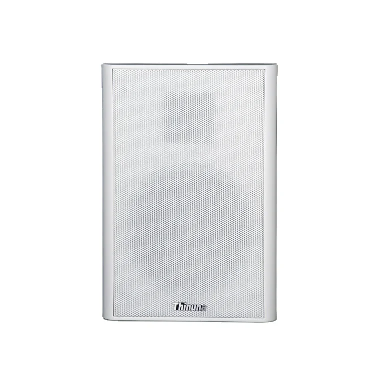 Thinuna XS-25 Pa Sound System Speaker Audio System Sound 20W Slim Super Slim Wall Mounted Speaker for School