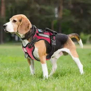 Lynpet No Pull Reflective Adjustable Shock Absorbing Service Pet Dog Harness Vest with Leash