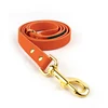 Laisse orange