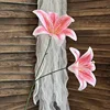 2 3d Lilies - Deep Pink