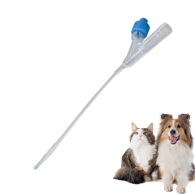 Premium Quality Cats and small dogs Veterinary Instrument 6Fr Silicon Catheter for Animals