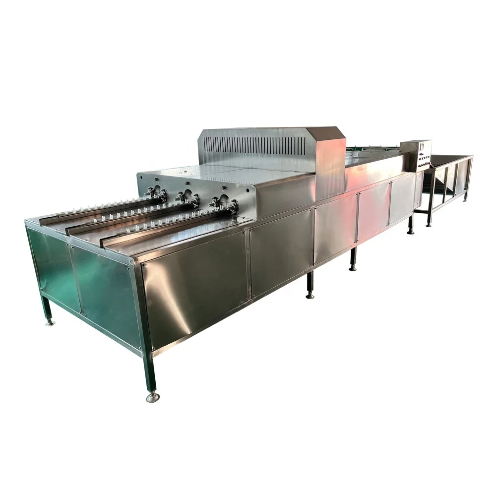 Egg Washing Machine Cleaning Machine