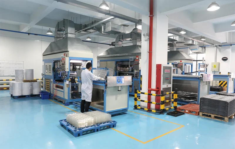 Shenzhen Wu Cai Feiyang Trading Co., Ltd. 1