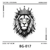 BG-17