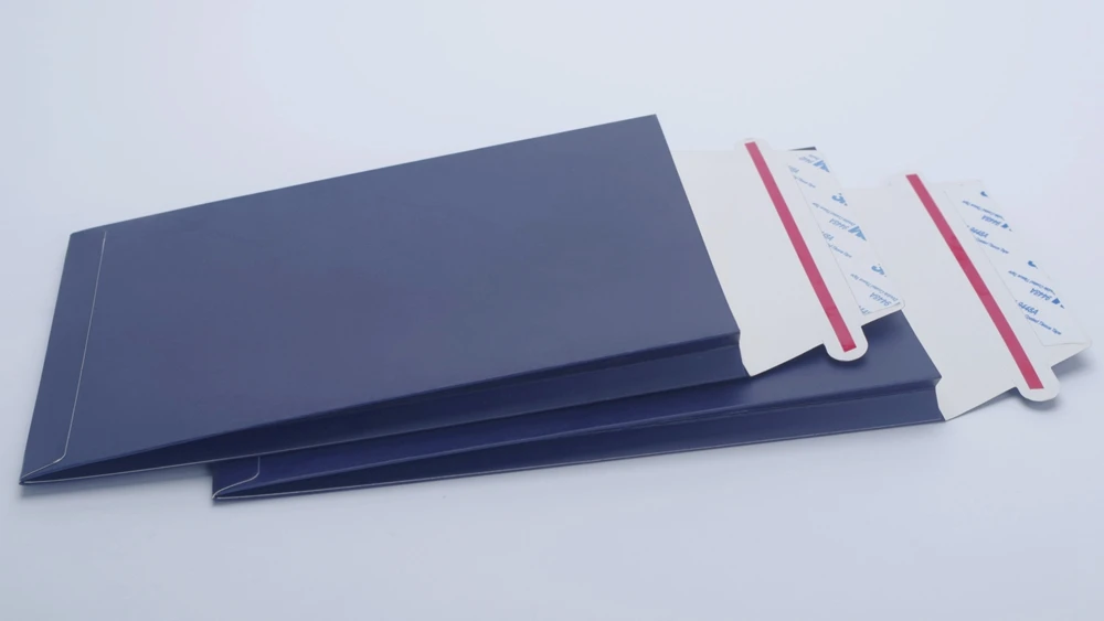 A3 A4 A5 Customized Zip Expansion Paper Envelopes Large Size Self Seal