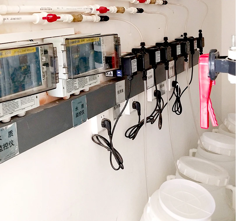 Automatic Swimming Pool Chemicals Dosing Pump Pool Disinfection