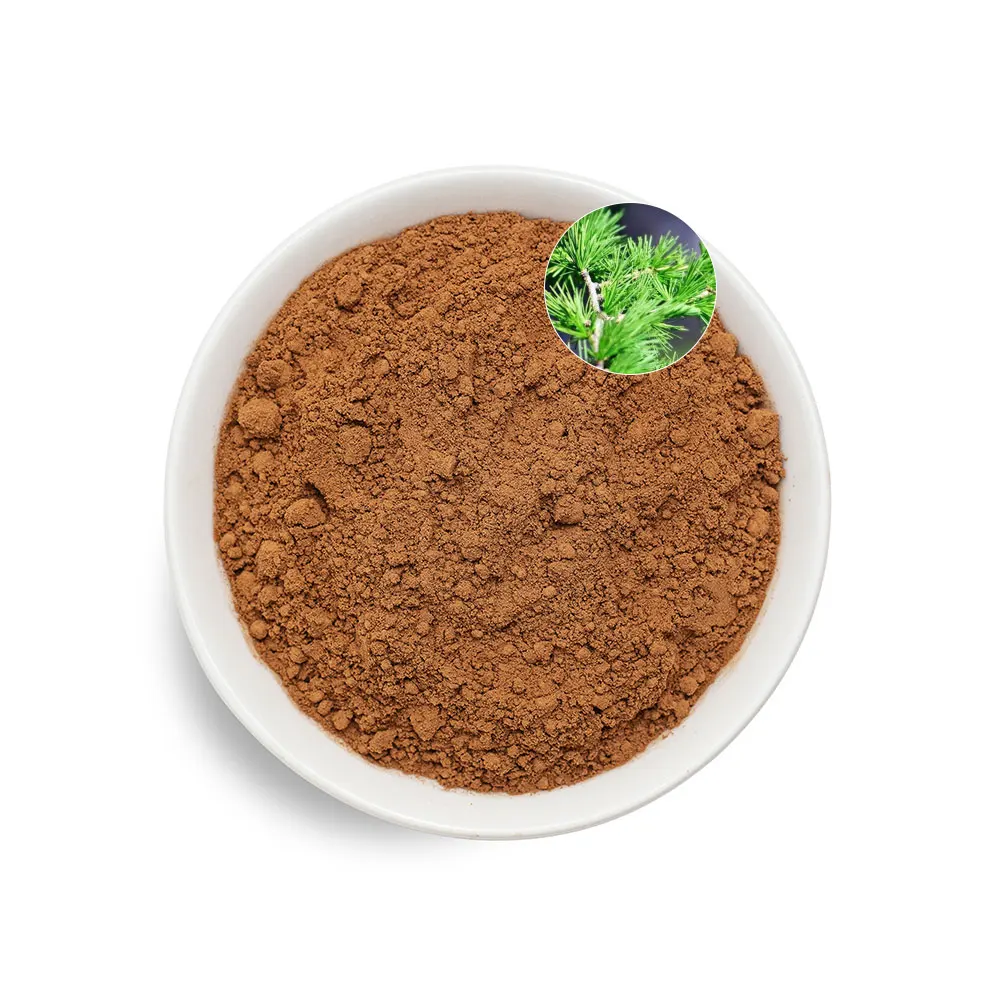 Natural Pine Needle Extract Powder Skin Care Herbal Extract Pine Needle Powder
