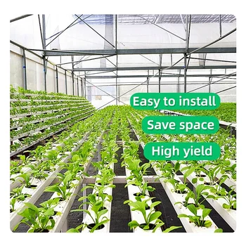 Automatic Hydroponics Growing System Pipeline Hydroponic System For Plants