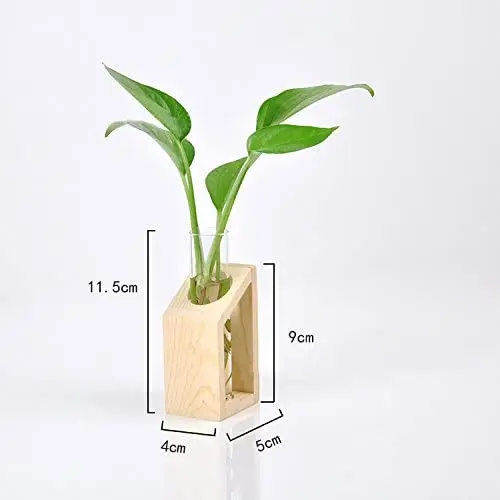 Glas vermehrung sset mit Bambus halter. Glas Reagenzglas Pflanze  Terrarium/Mini Vase Tpfe fr Hydro ponik Pflanzen fr Raum dekor