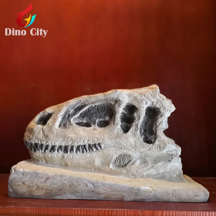 恐竜骨化石レプリカ｜博物館展示用｜Dino City LCHS2018A008