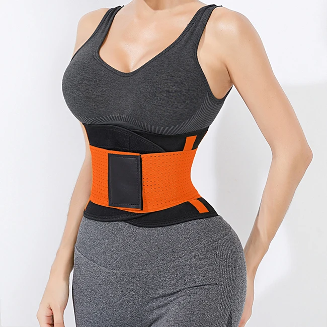 waist supporter-008