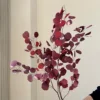 Vino rosso 100g