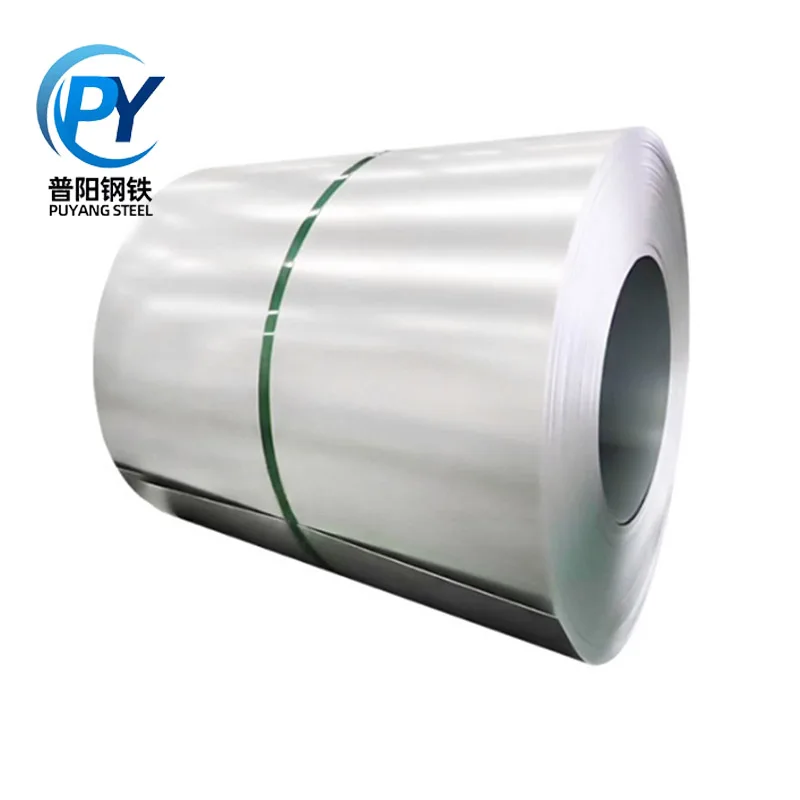 Galvanized Steel Coil (16)