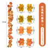 Maple Vine - No. 7
