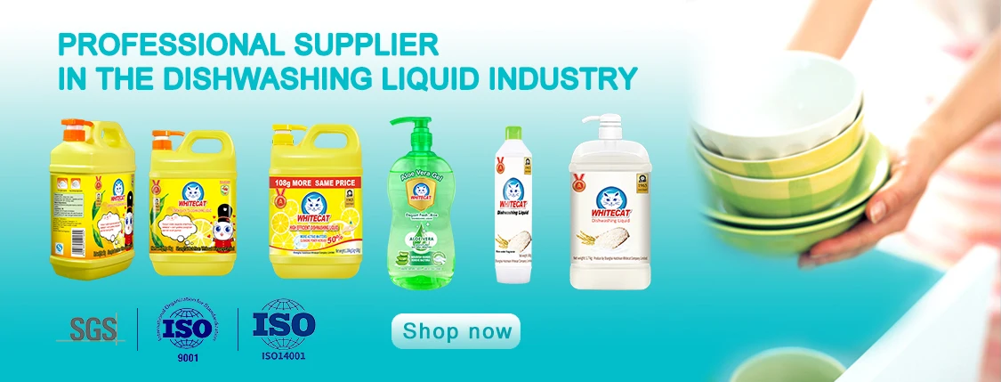 Household Cleaner Washing Soap Eco Friendly Liquid Dish Soap Powder Kitchen Detergent Cleaning Liquid Soap supplier