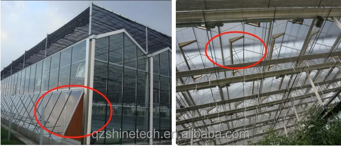 Tempered Glass greenhouse