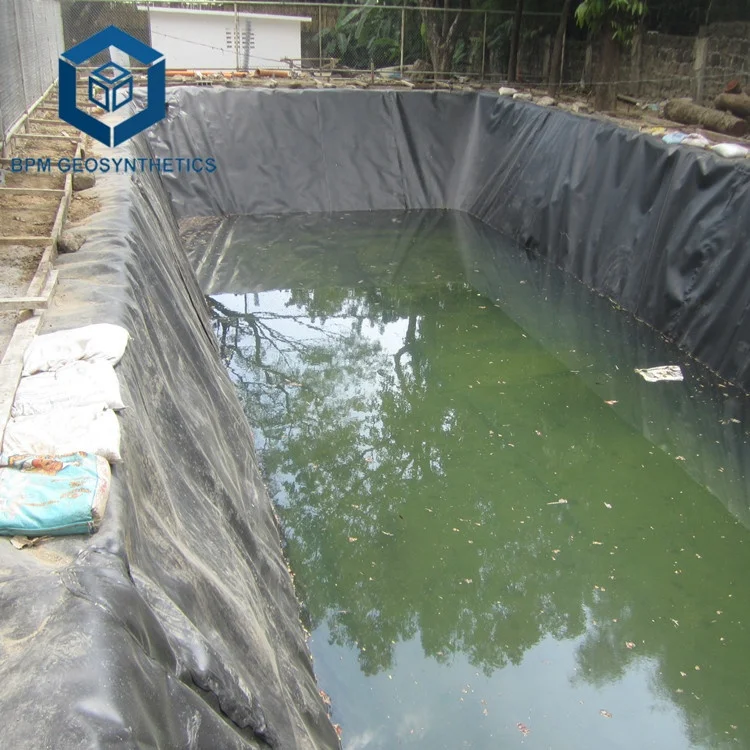 Industrial Design Style HDPE Waterproof Geomembrane Plastics Membrane from Guangdong for Sale