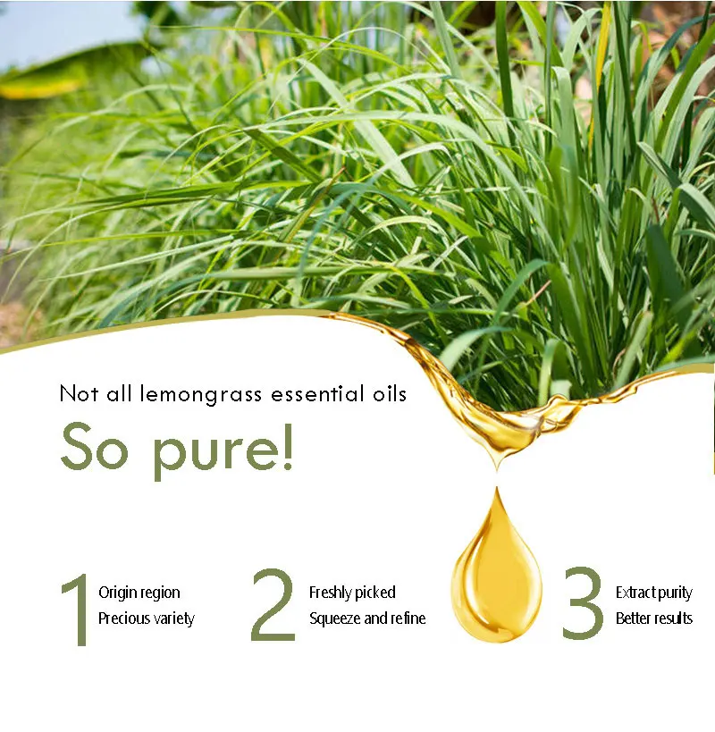 Pure Oud Branded Perfume Fragrance Oil For Candle And Soap Making