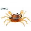 Arancione