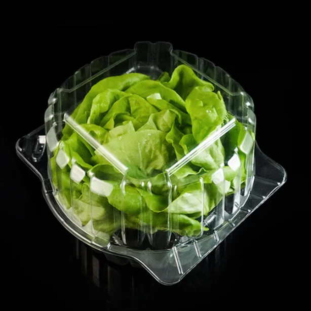 Custom Clear Plastic Clamshell Blister Lettuce Packaging Container,Fresh Living Lettuce Plastic
