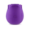 Regular suction rose purple